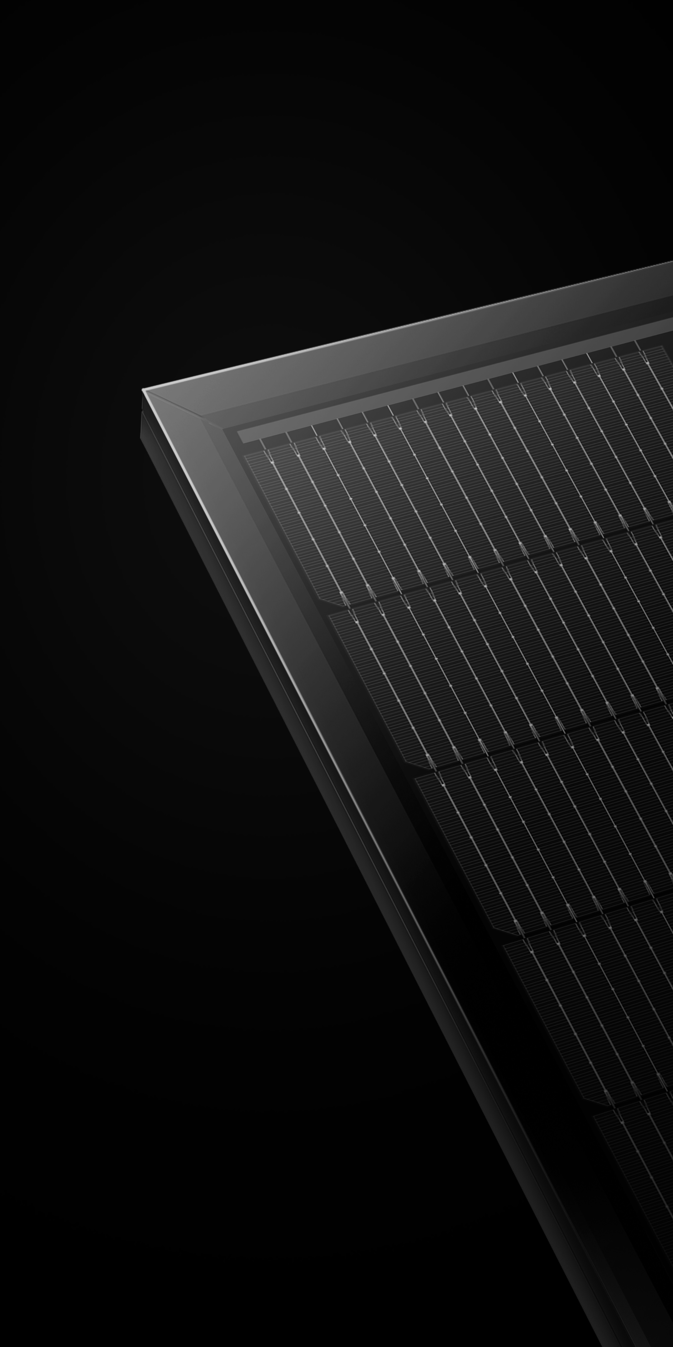 Solarmodul Jolywood JW-HD108N 425W bifaciale Glas Glas Module Full Black 